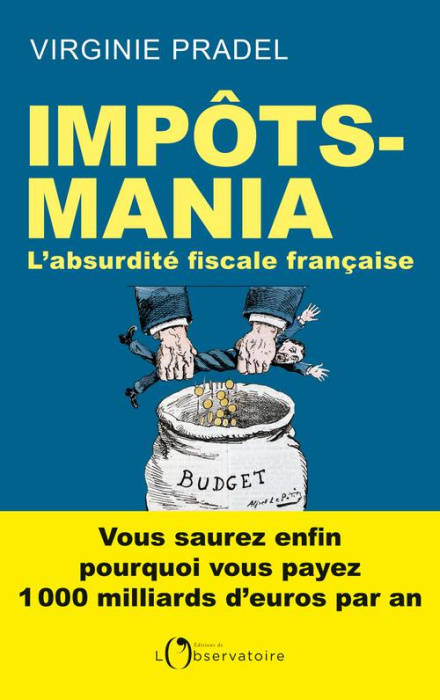 Emprunter Impôts-mania. L'absurdité fiscale française livre
