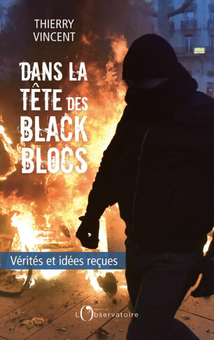 Emprunter Dans le tête des Black blocs. Vérités et idées reçues livre