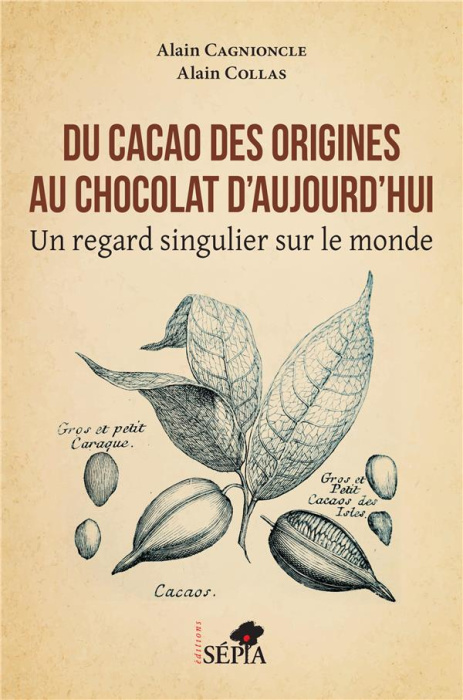 Emprunter DU CACAO DES ORIGINES AU CHOCOLAT D'AUJOURD'HUI - UN REGARD SINGULIER SUR LE MONDE livre