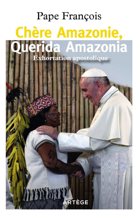 Emprunter Chère Amazonie, Querida Amazonia. Exhortation apostolique post-synodale livre
