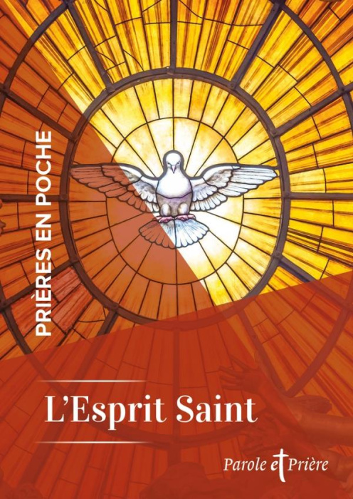 Emprunter L'Esprit Saint livre