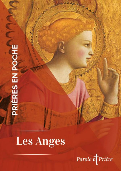 Emprunter Les anges livre