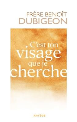 Emprunter C'est ton visage que je cherche livre