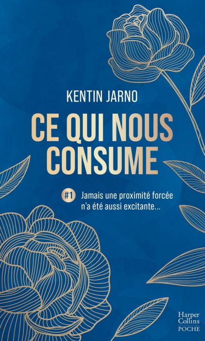 Emprunter Ce qui nous consume #1 livre