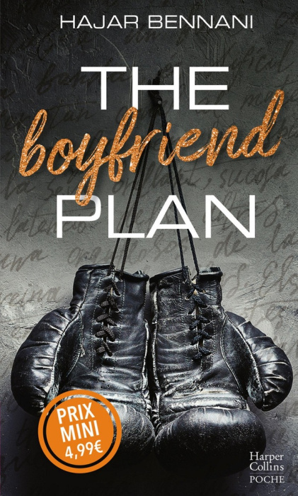 Emprunter The Boyfriend Plan livre