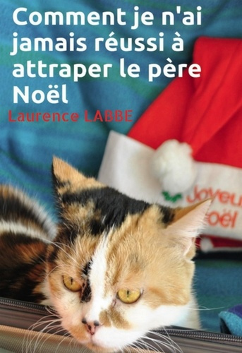 Emprunter Comment je n'ai jamais réussi à attraper le père Noël livre
