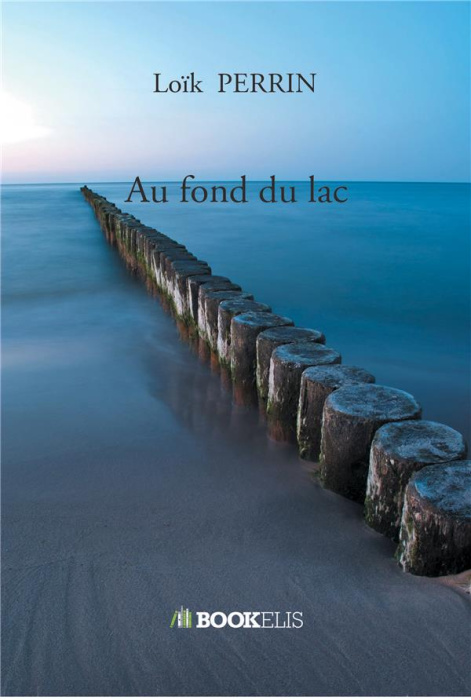 Emprunter Au fond du lac livre