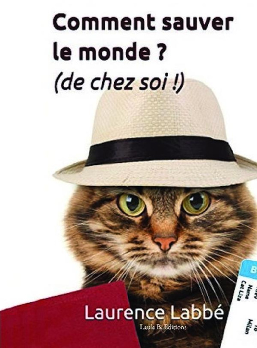 Emprunter Comment sauver le monde ? (de chez soi !) livre