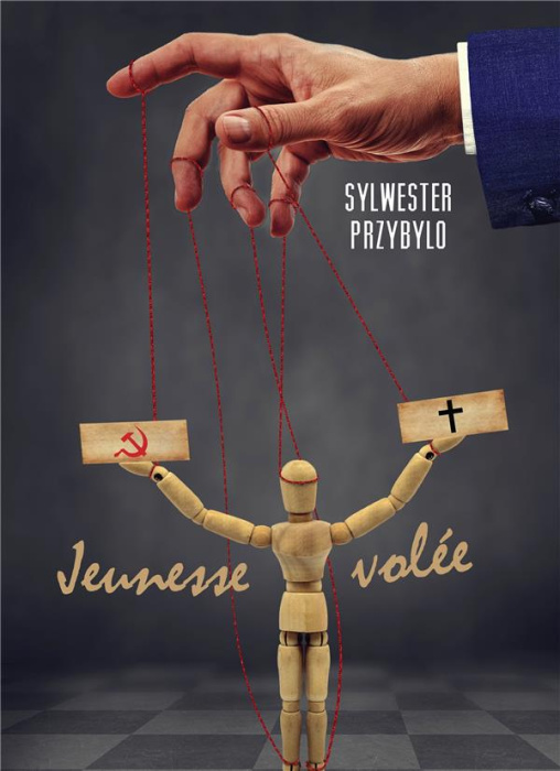 Emprunter Jeunesse volée livre