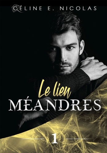 Emprunter Méandres Tome 1 : Le lien livre