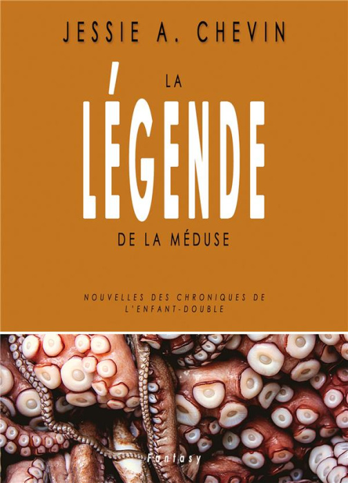 Emprunter La Légende de la Méduse. Nouvelles des Chroniques de l'Enfant-Double livre