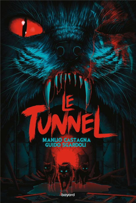 Emprunter Le tunnel livre
