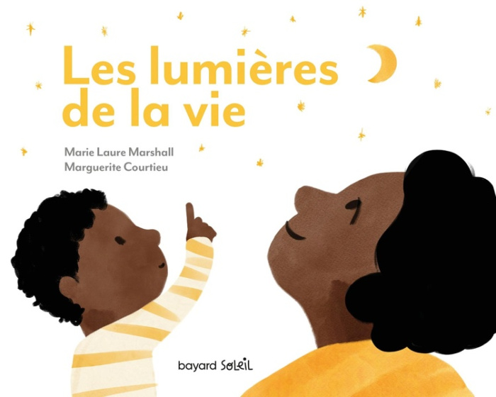 Emprunter Les lumières de la vie livre