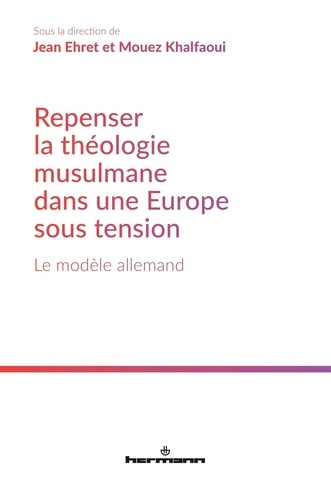 Emprunter Repenser la théologie musulmane dans une Europe sous tension. Le modèle allemand livre