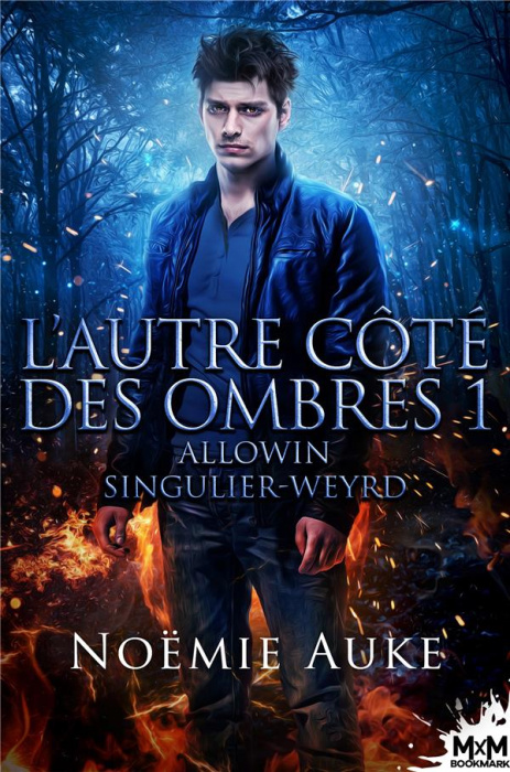 Emprunter L'autre côté des ombres. Tome 1, Allowin Singulier-Weyrd livre