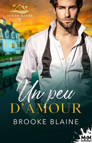 Emprunter South Haven Tome 1 : Un peu d'amour livre