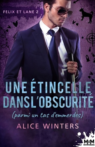 Emprunter Felix et Lane Tome 2 : Une étincelle dans l'obscurité (parmi un tas d'emmerdes) livre