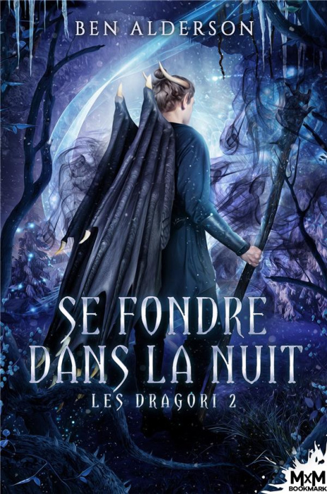 Emprunter LES DRAGORI - T02 - SE FONDRE DANS LA NUIT - LES DRAGORI, T2 livre