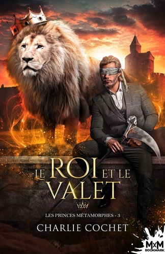 Emprunter Les princes métamorphes Tome 3 : Le roi et le valet livre