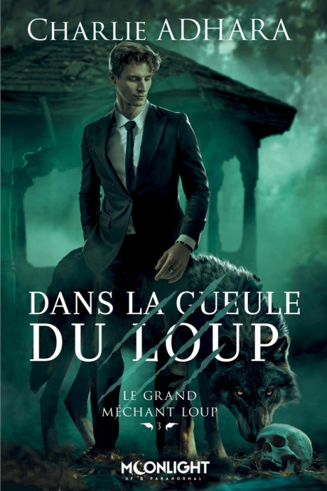 Emprunter Le grand méchant Loup Tome 3 : Dans la gueule du loup livre