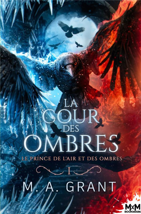 Emprunter La Cour des Ombres Tome 1 : Le prince de l'Air et des Ombres livre