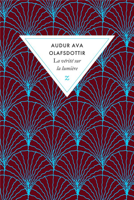 Emprunter La vérité sur la lumière livre