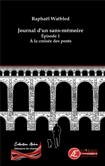 Emprunter A la croisée des ponts Tome 1 : Journal d'un sans-mémoire livre