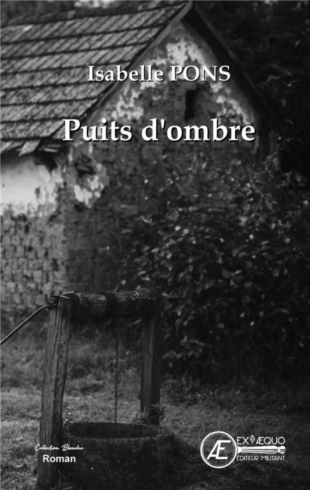Emprunter Puits d'ombre livre