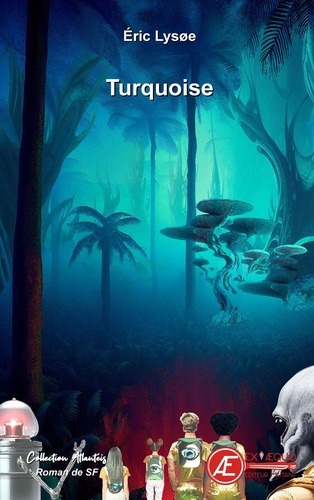 Emprunter Turquoise livre