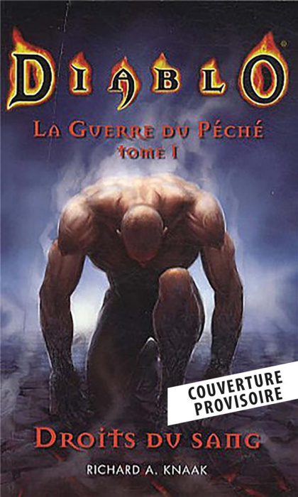 Emprunter La Guerre du Péché Tome 1 : Droits du sang livre
