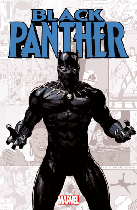 Emprunter Marvel-Verse : Black Panther livre