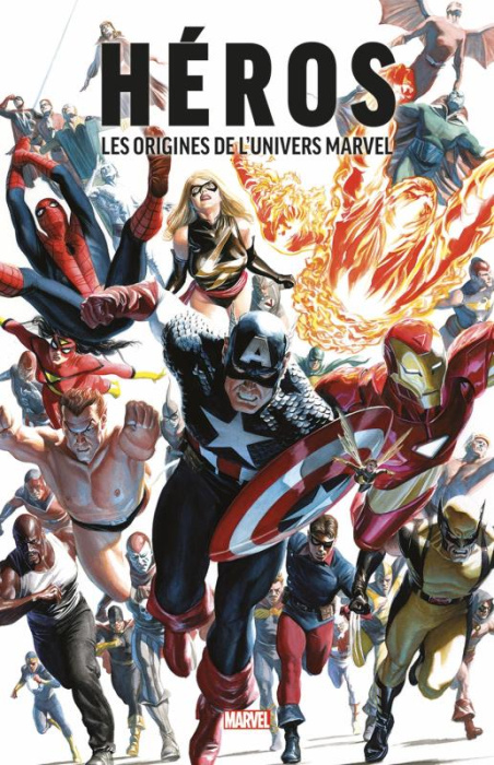 Emprunter Héros. Les origines de l'univers Marvel livre