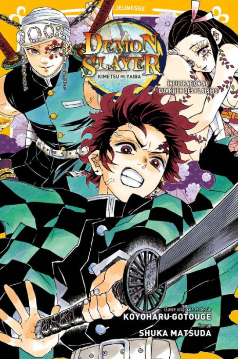 Emprunter Demon Slayer - Roman jeunesse Tome 4 : Infiltration au quartier des plaisirs livre