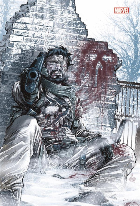 Emprunter Punisher Tome 1 : Retour sanglant livre