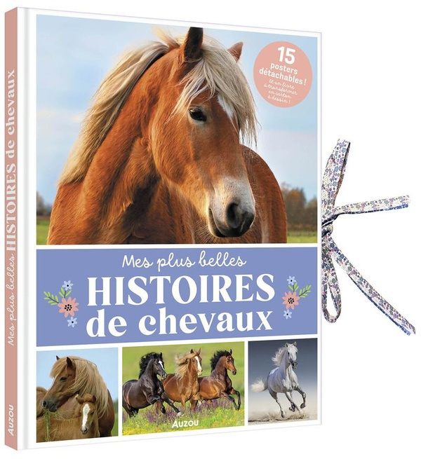 Emprunter Mes plus belles histoires de chevaux. Avec 15 posters détachables livre