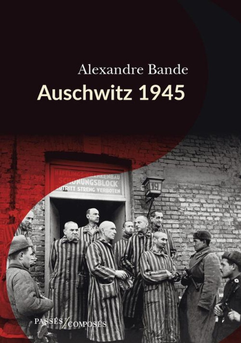 Emprunter Auschwitz 1945 livre