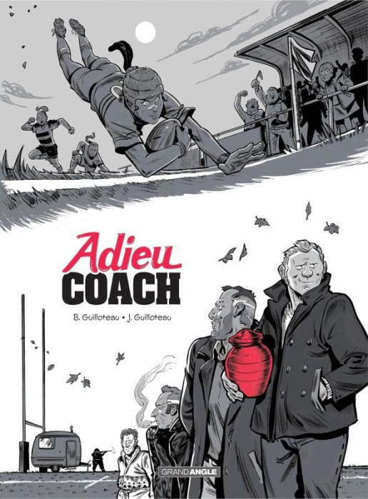 Emprunter Adieu coach livre