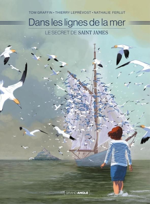 Emprunter Dans les lignes de la mer : Le secret de Saint James livre