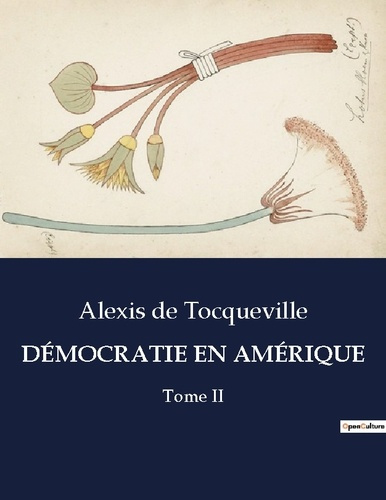 Emprunter DÉMOCRATIE EN AMÉRIQUE. Tome II livre