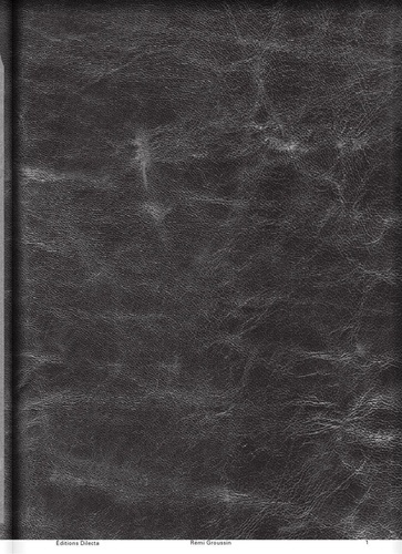 Emprunter Rémi Groussin. Edition bilingue français-anglais livre