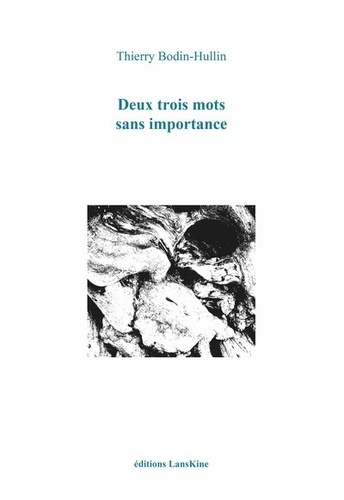 Emprunter Deux trois mots sans importance livre