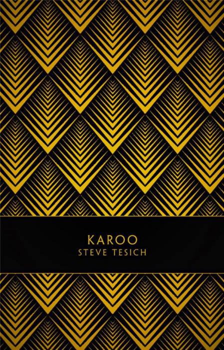 Emprunter Karoo livre