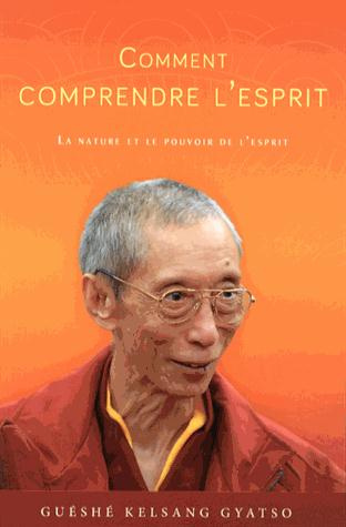 Emprunter Comment comprendre l'esprit. La nature et le pouvoir de l'esprit livre