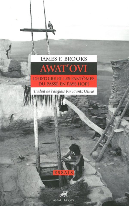 Emprunter AWAT'OVI - L'HISTOIRE ET LES FANTOMES DU PASSE EN PAYS HOPI livre