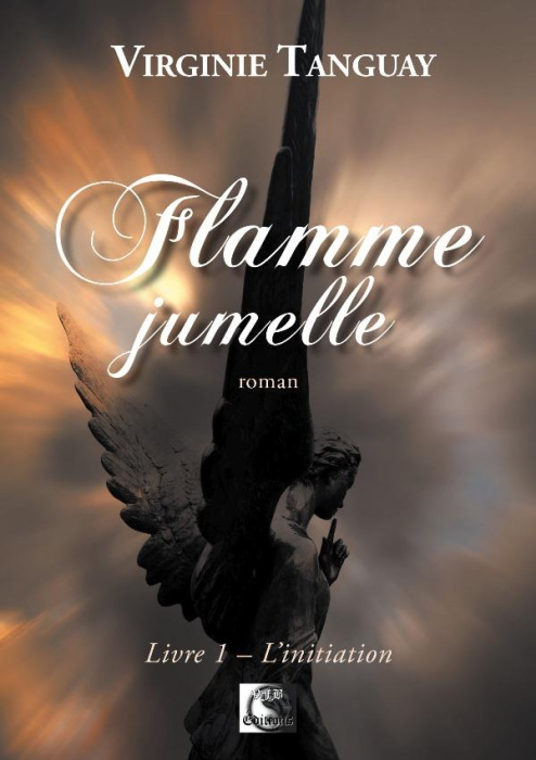 Emprunter Flamme jumelle Tome 1 : L'initiation livre