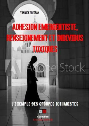 Emprunter Radicalisation renseignement et individus toxiques. Comprendre les processus de manipulation mentale livre
