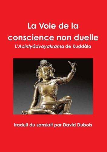Emprunter La Voie de la conscience non duelle livre