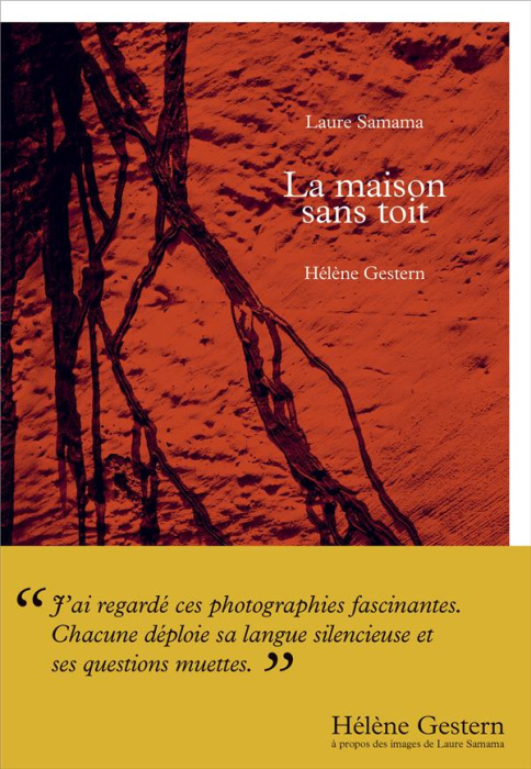 Emprunter La maison sans toit livre