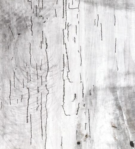 Emprunter Marges. Edition bilingue français-anglais livre