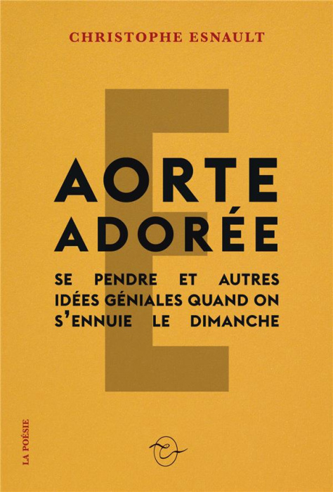 Emprunter Aorte adorée (Se pendre et autres idées géniales quand on s’ennuie le dimanche) livre